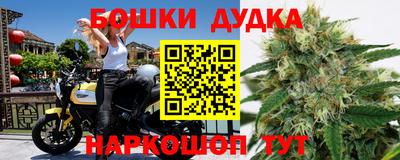 ECSTASY Новодвинск