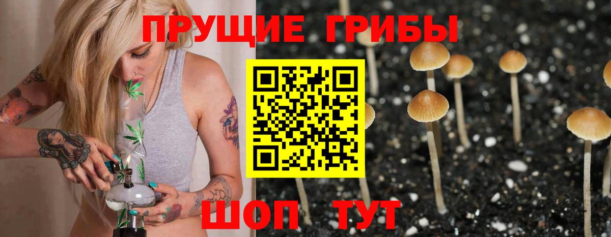 Верхний Уфалей  продажа наркотиков  Вход с VPN  Галлюциногенные грибы ЛСД 